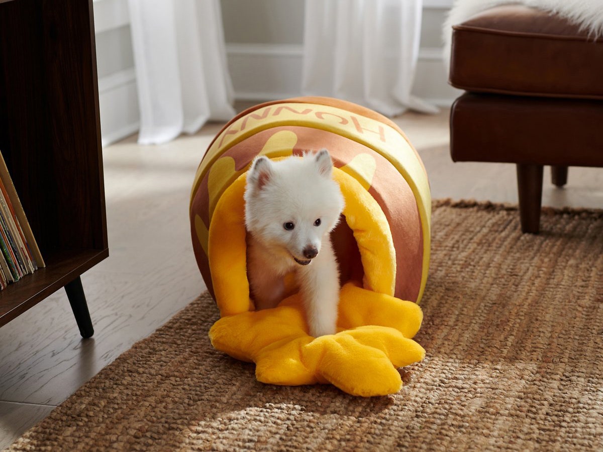 Cute dog inside of Winnie the Pooh Honey Pot dog bed